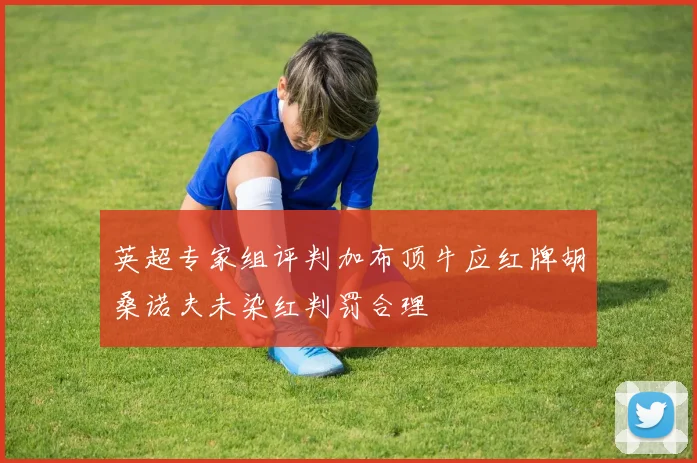 英超专家组评判加布顶牛应红牌胡桑诺夫未染红判罚合理